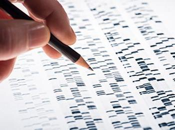 Recombinant DNA and/or Biological Materials (IBC)