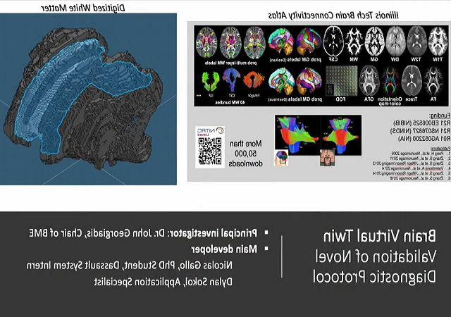 新型诊断方案幻灯片的脑虚拟双胞胎验证